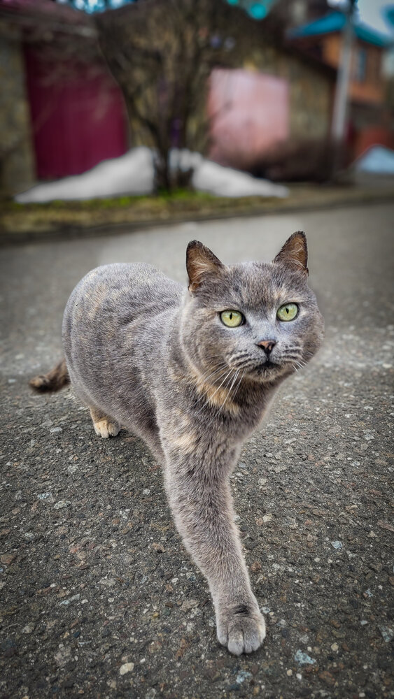 Photograph by Алексей Горин