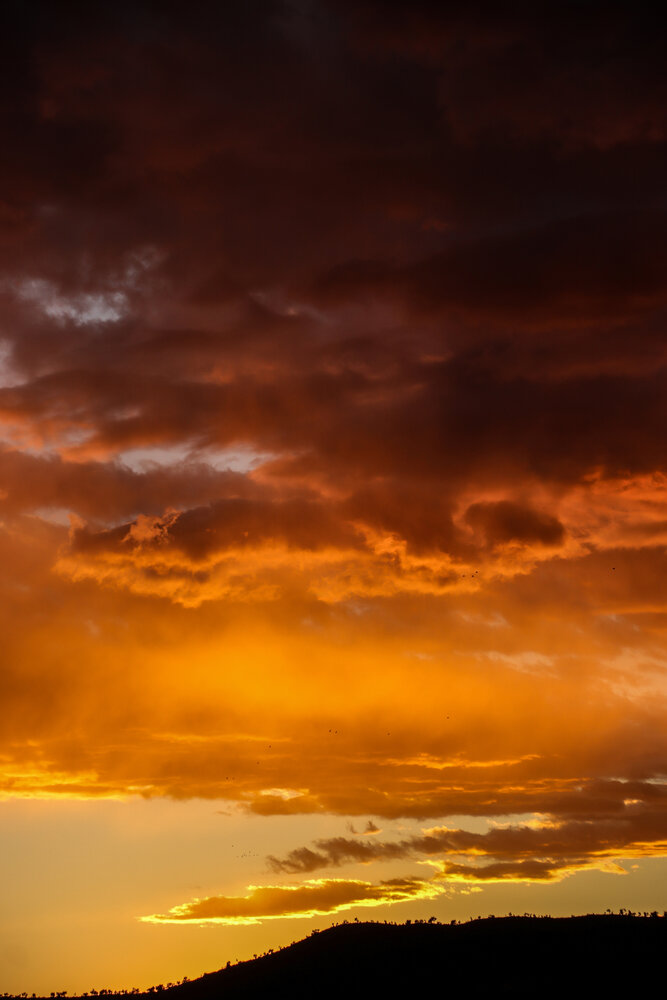 Photograph by vanessa elbin