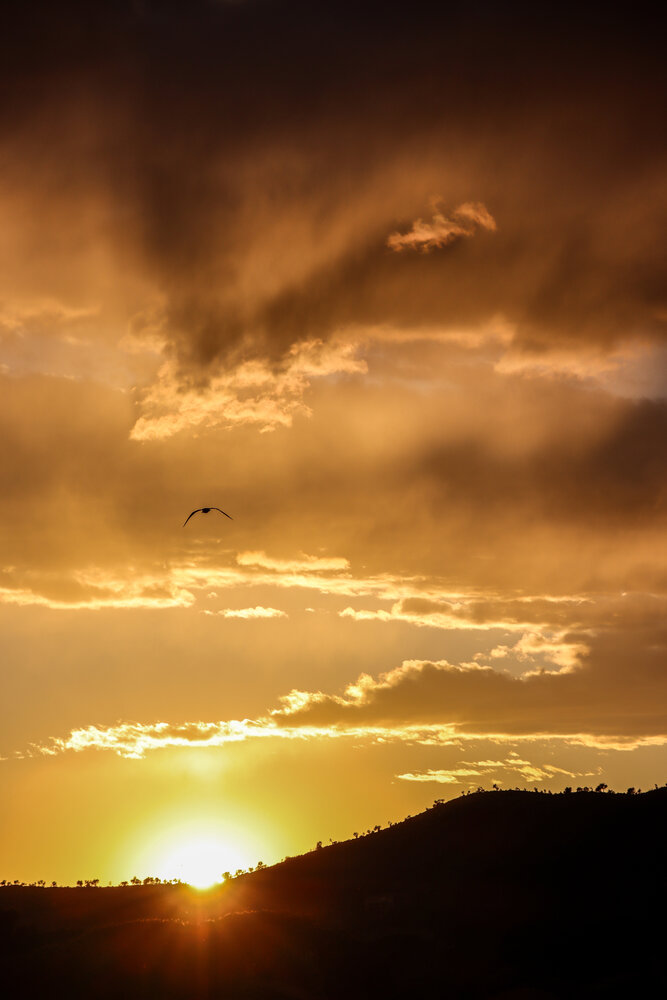 Photograph by vanessa elbin