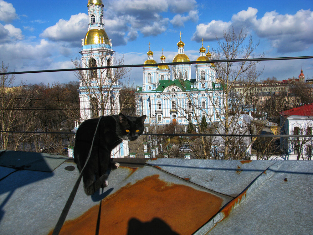 Photo #14032867