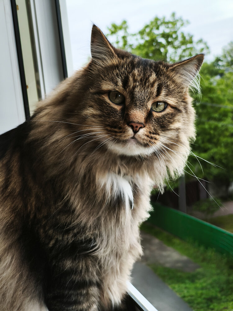Photograph by Антонина Ягущина