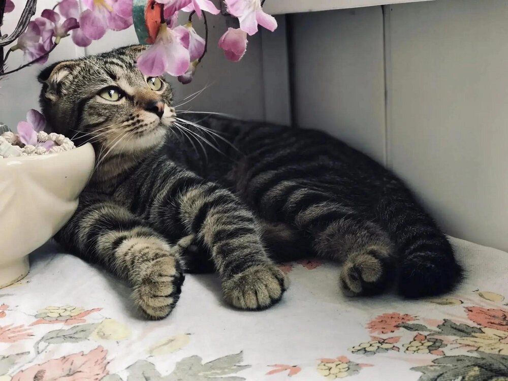 Photograph by Виталий Дузь