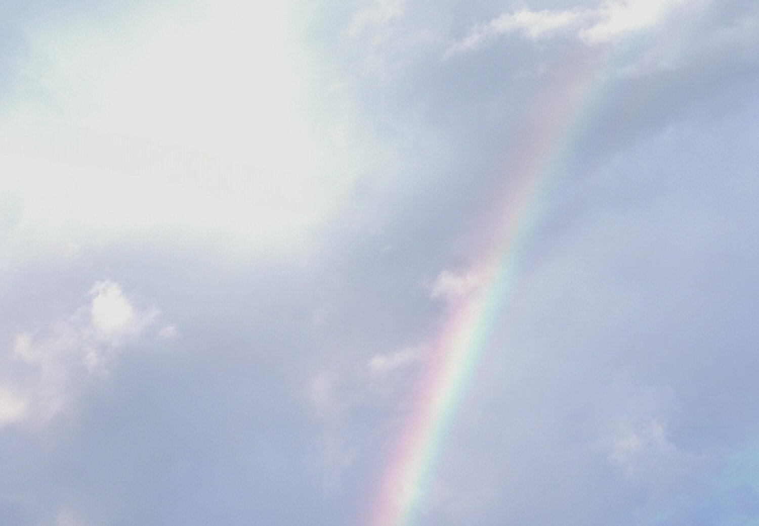 Photo #14032952