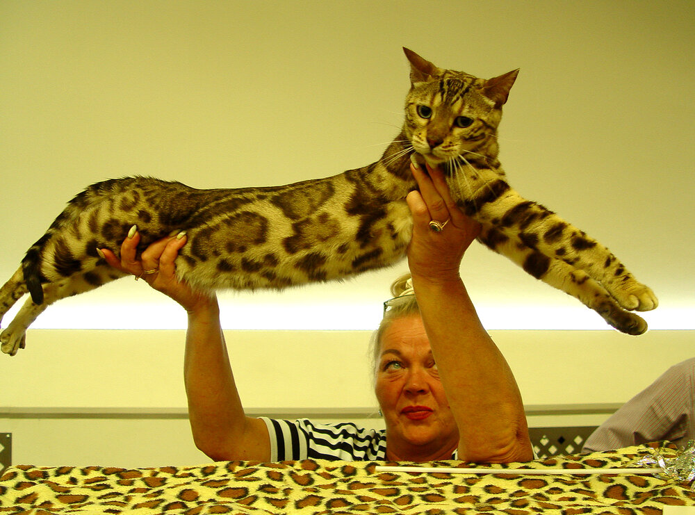 Photo #14032973