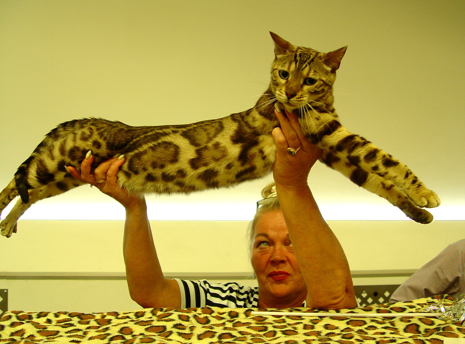 Photo #14032973