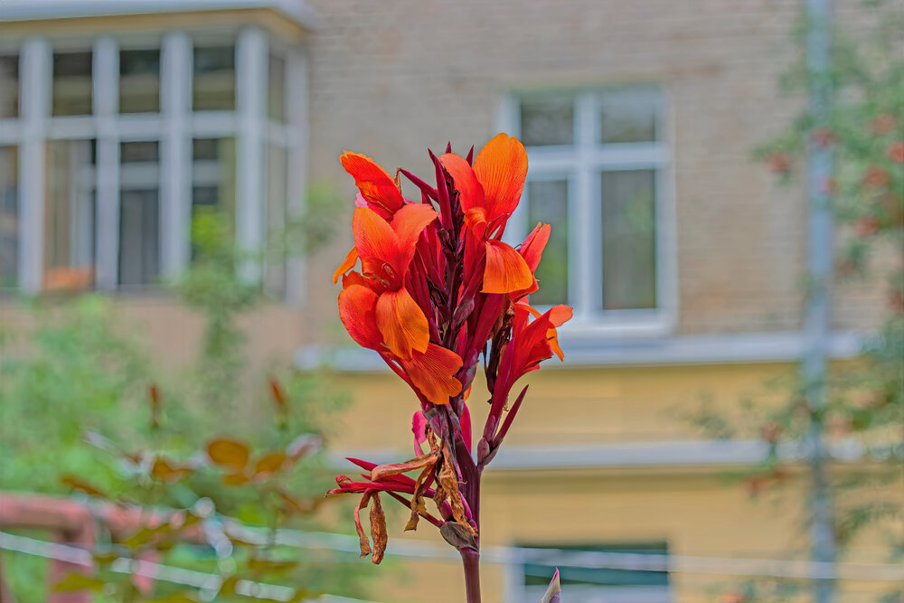 Photograph by Геннадий