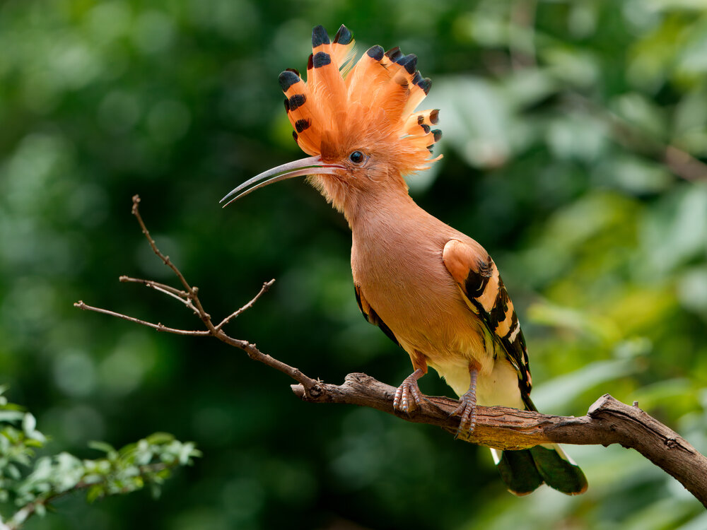 Photograph by Trinh Hoang Duc Loc