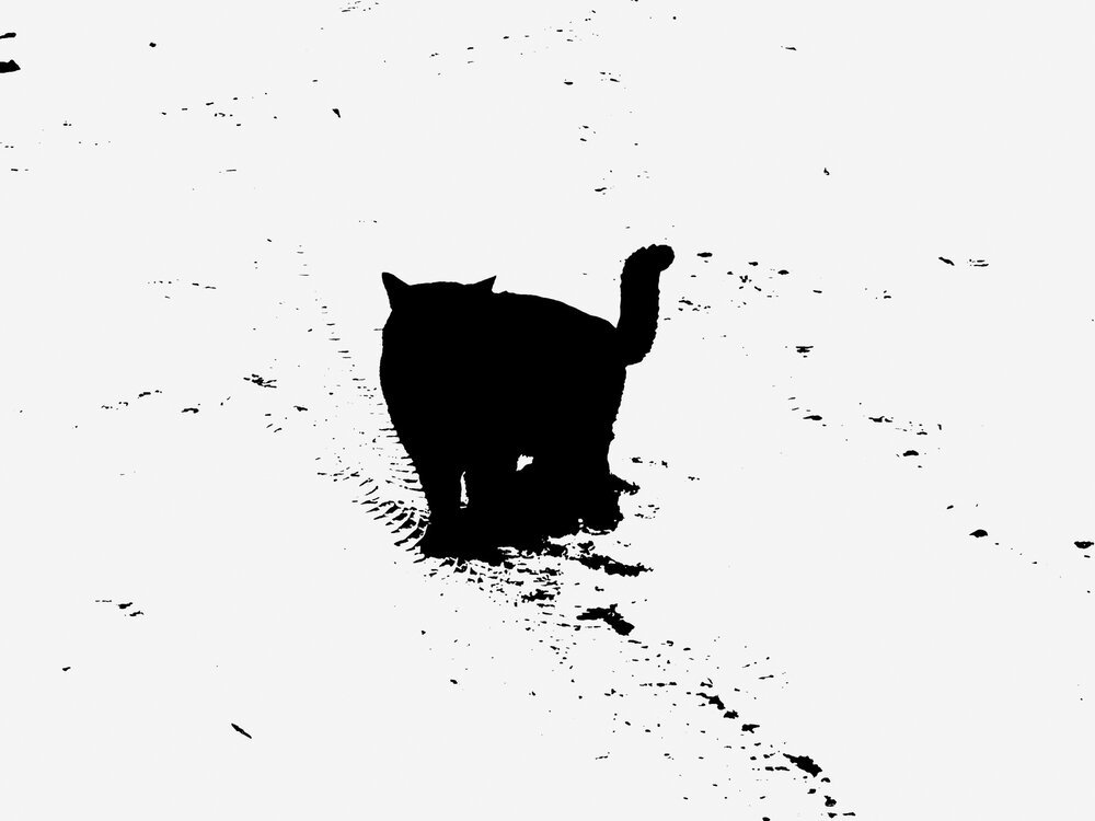 Photograph by Yuri Afanasyev