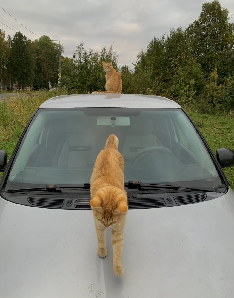 Photograph by Наталья Бирук