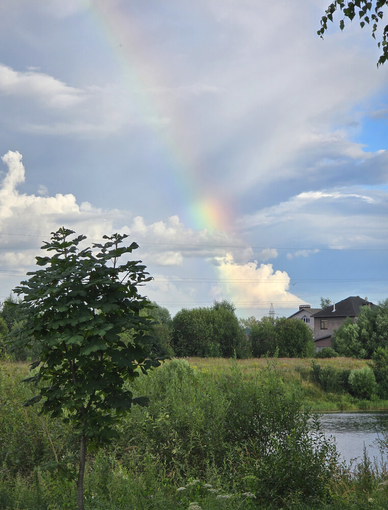 Photograph by Елена Гордеева