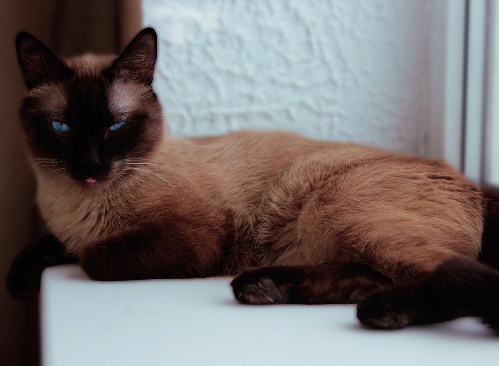 Photograph by Victoria Zubova