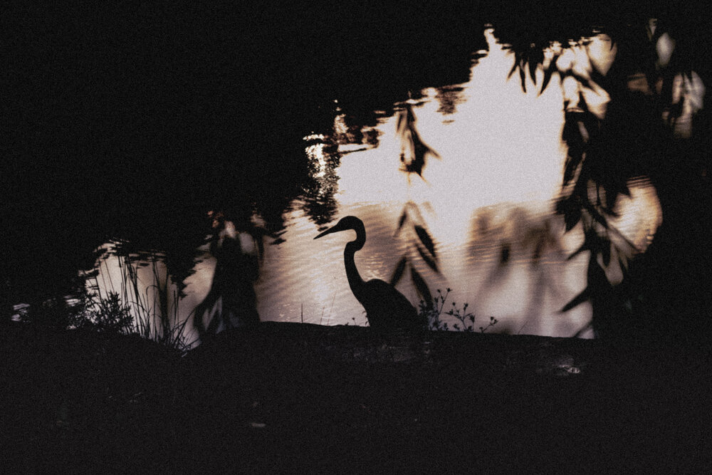 Photograph by Aleksey Kolmakov