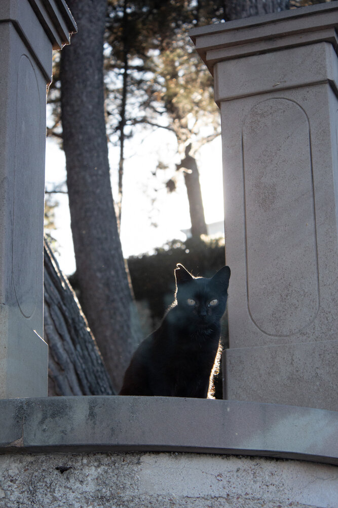Photograph by Яна Кисловская