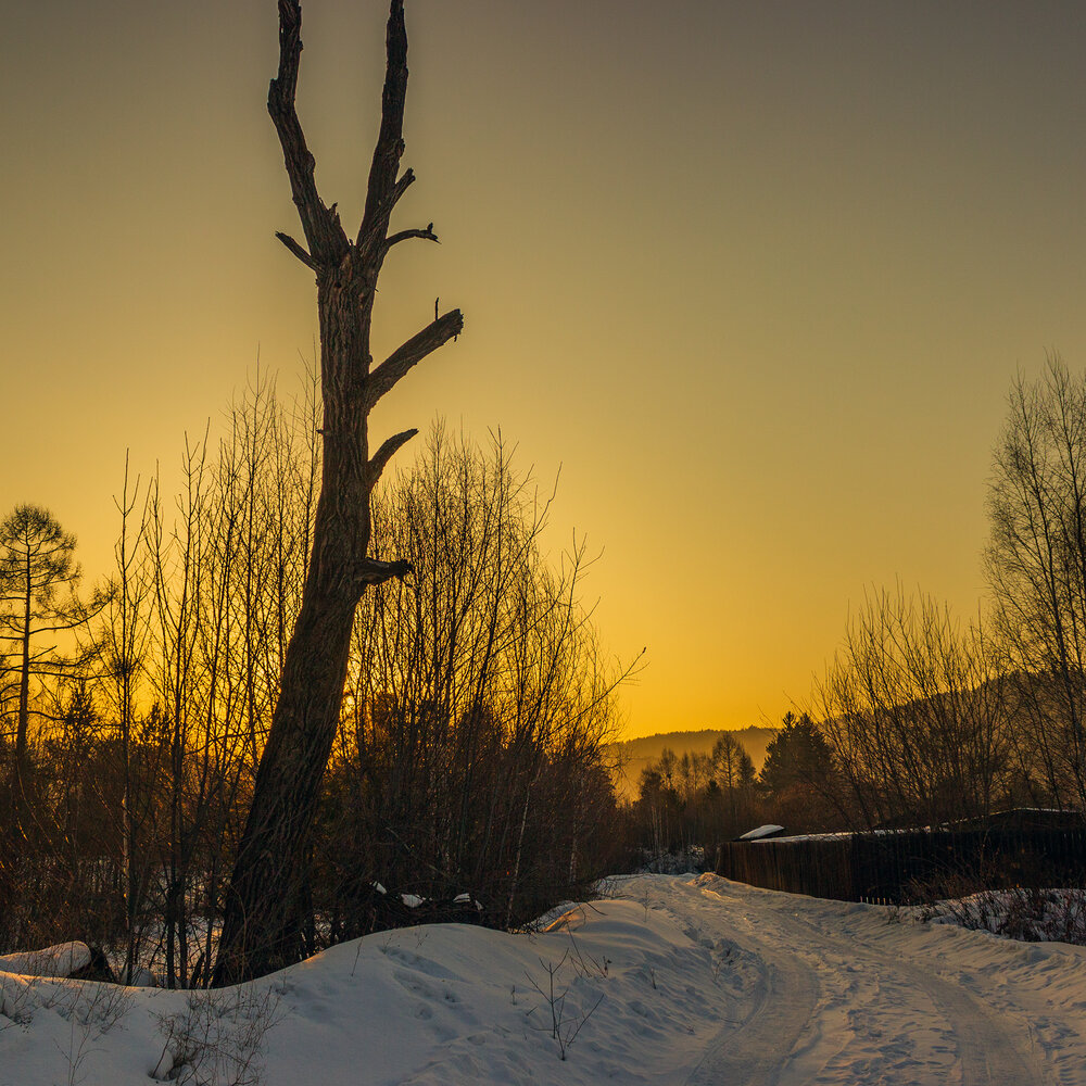 Photograph by Анатолий Радионов