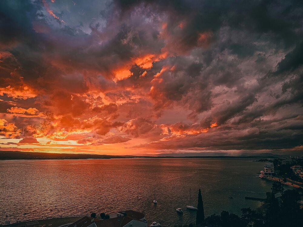 Photograph by Katz