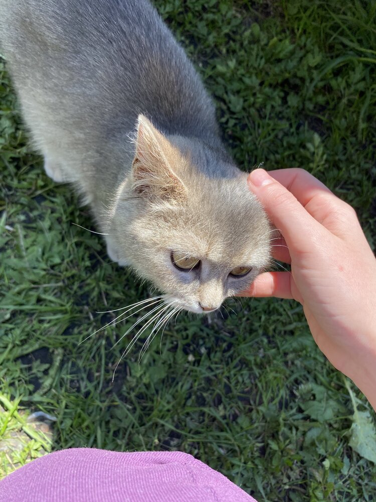 Photograph by Липинская Полина
