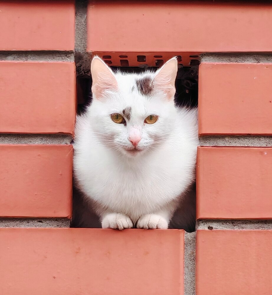 Photograph by Олеся Салунова