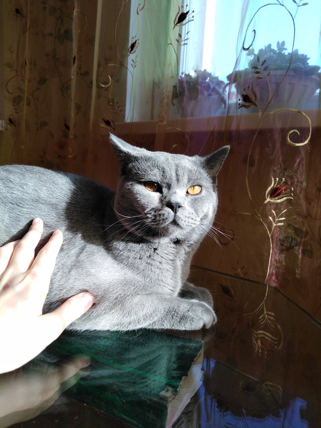 Photo #14033231