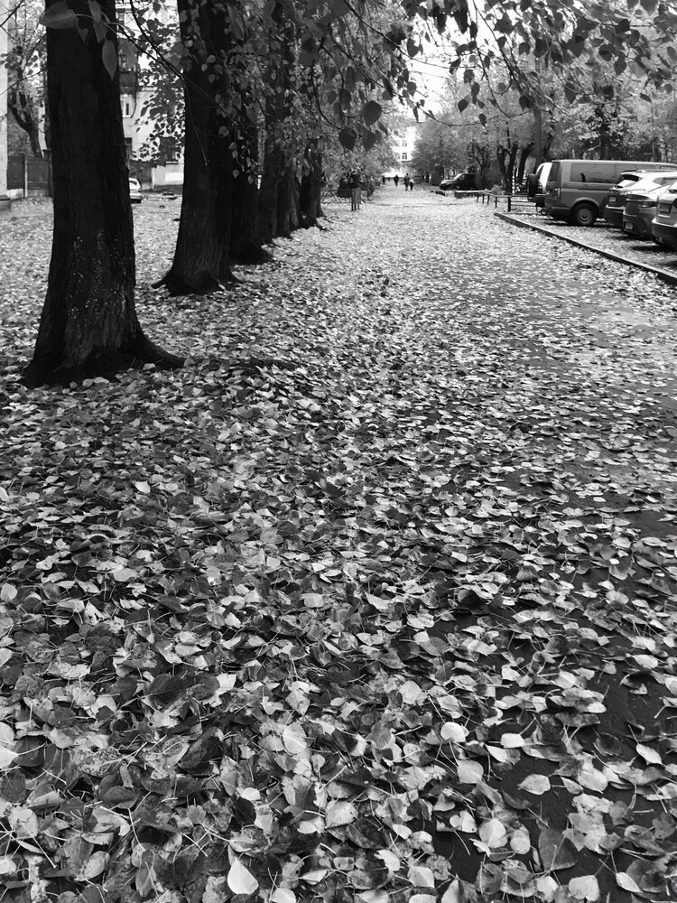 Photograph by Наталья Тарабычина