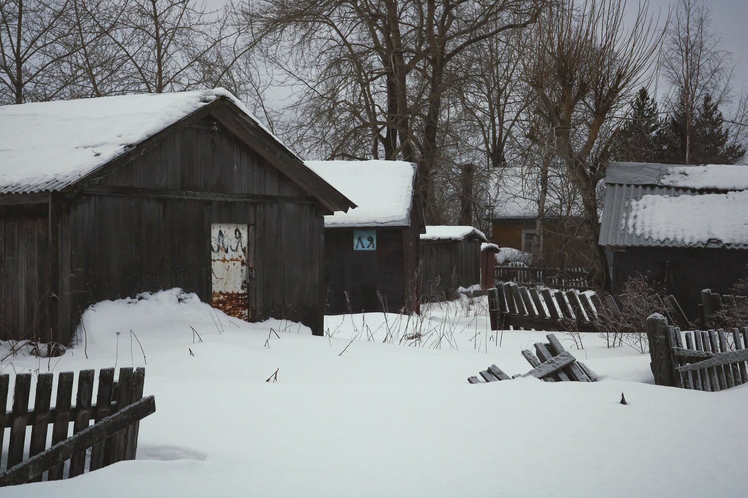 Photo #14033237