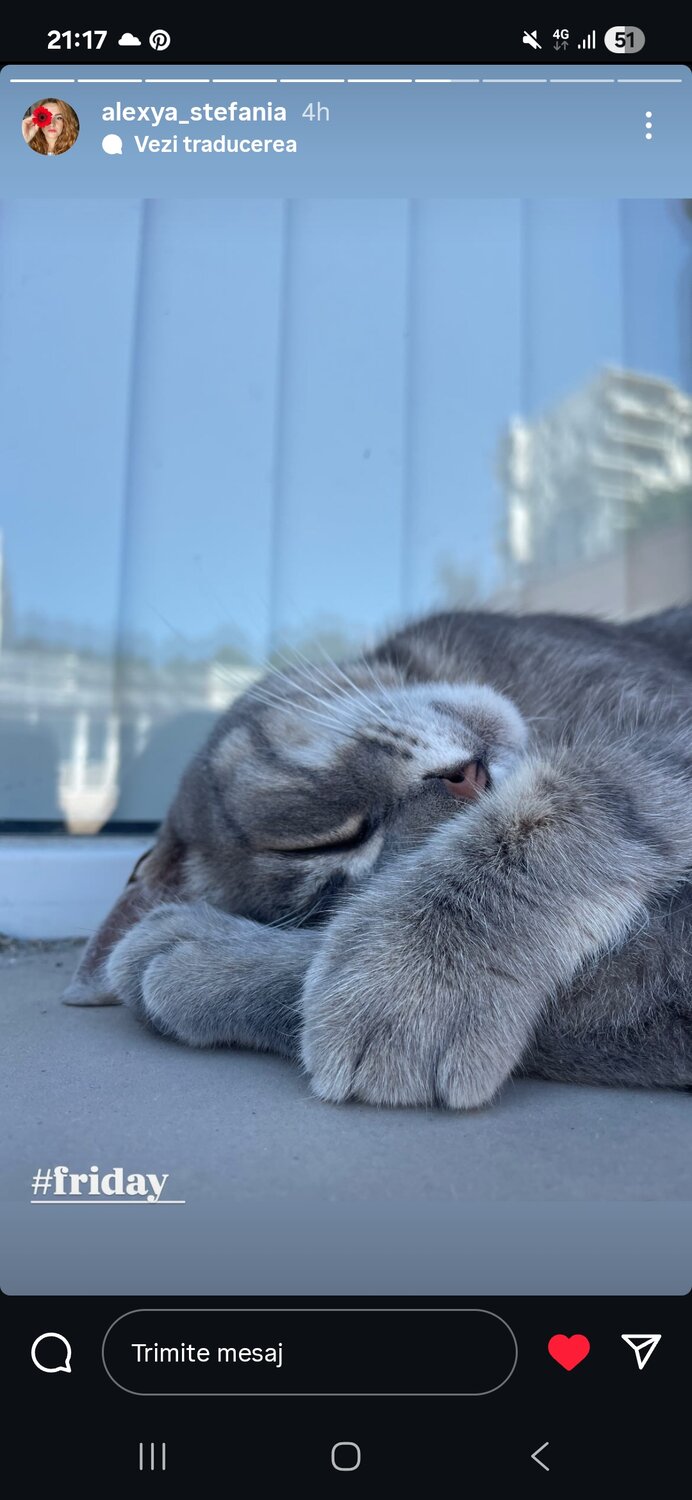 Photo #14033268