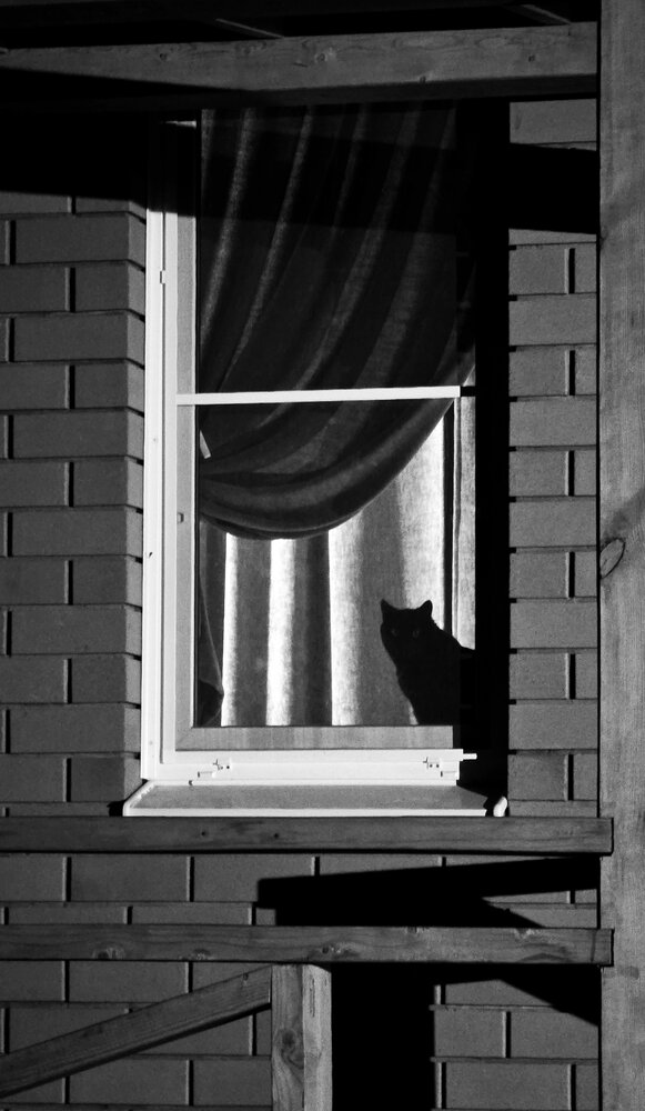 Photograph by Елена Дарьенко