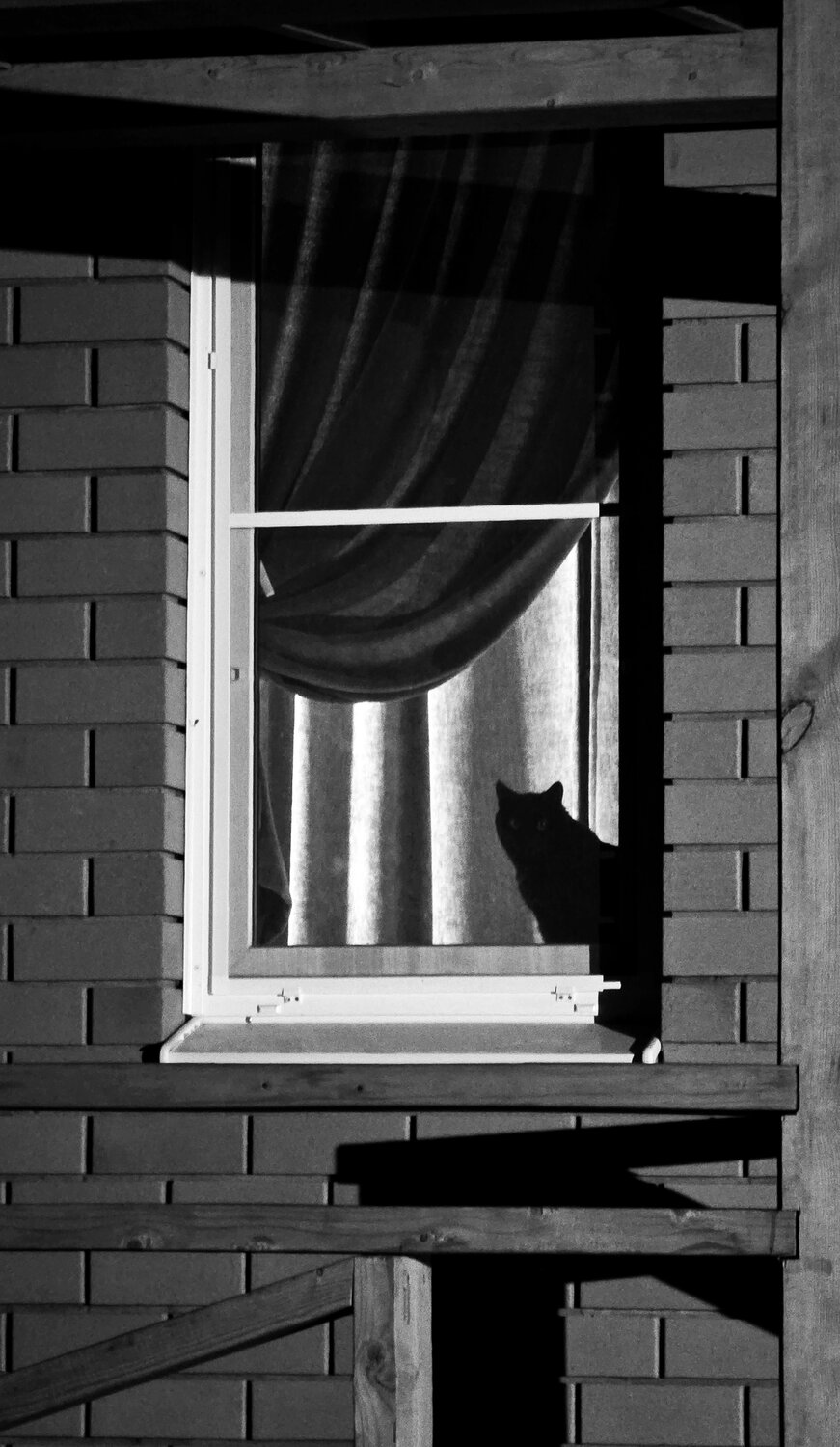 Photo #14033309