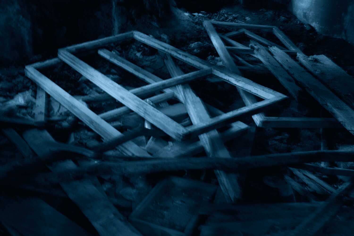 Photo #14033312