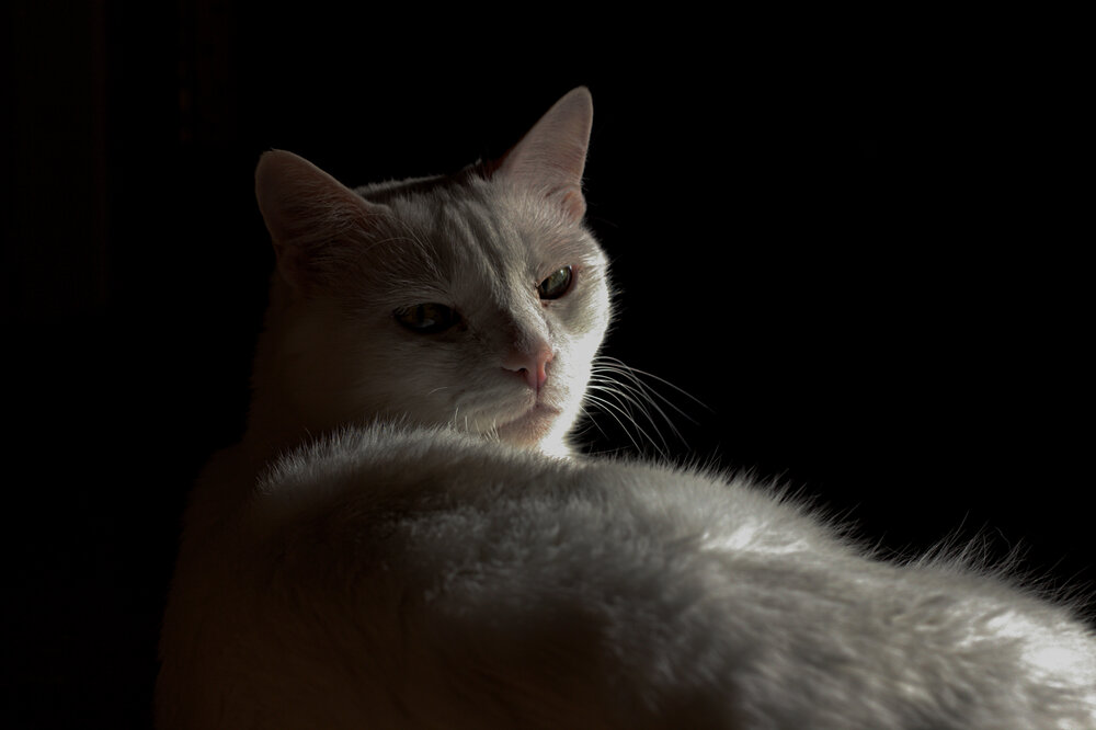Photograph by Дмитрий Балабан