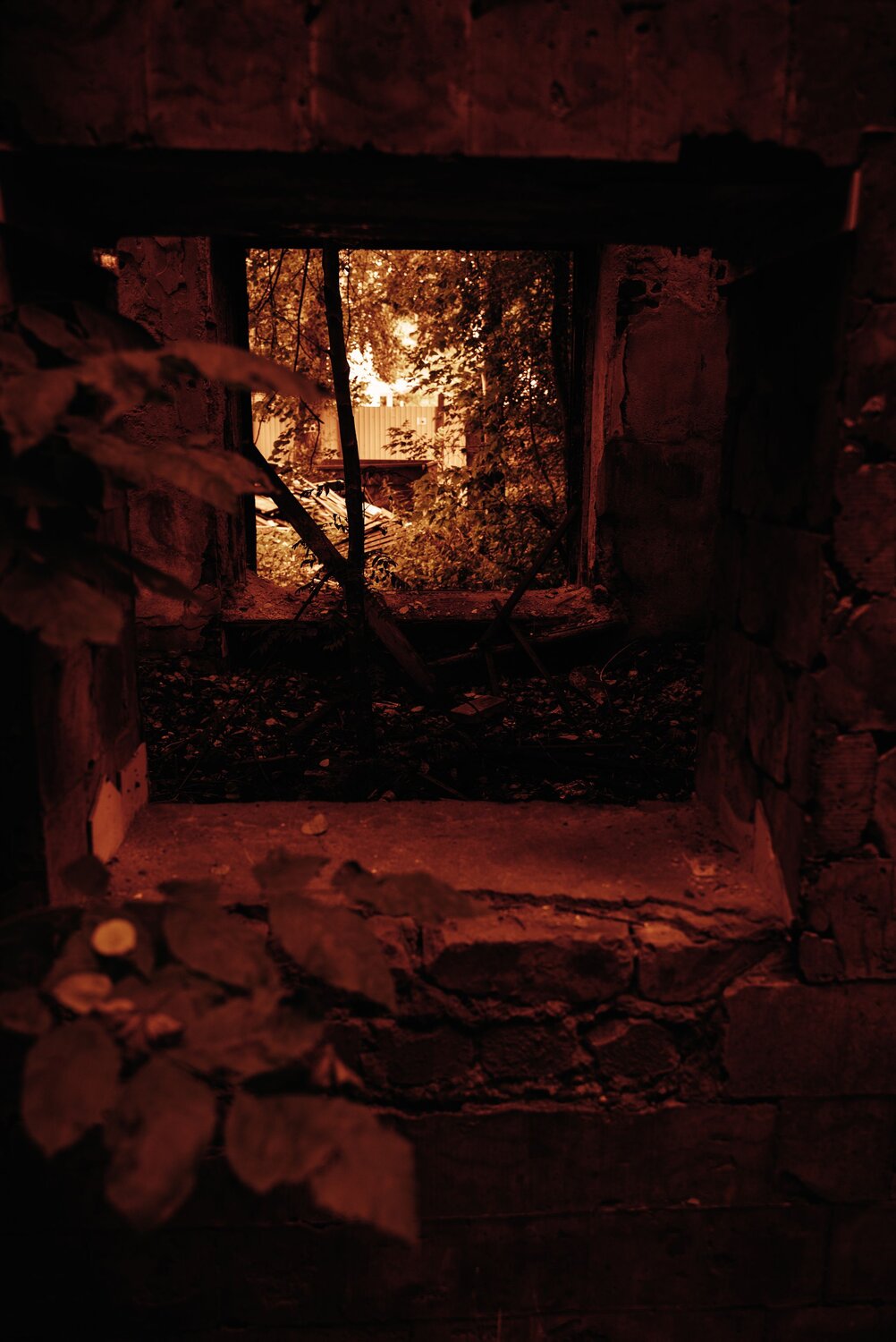 Photo #14033325
