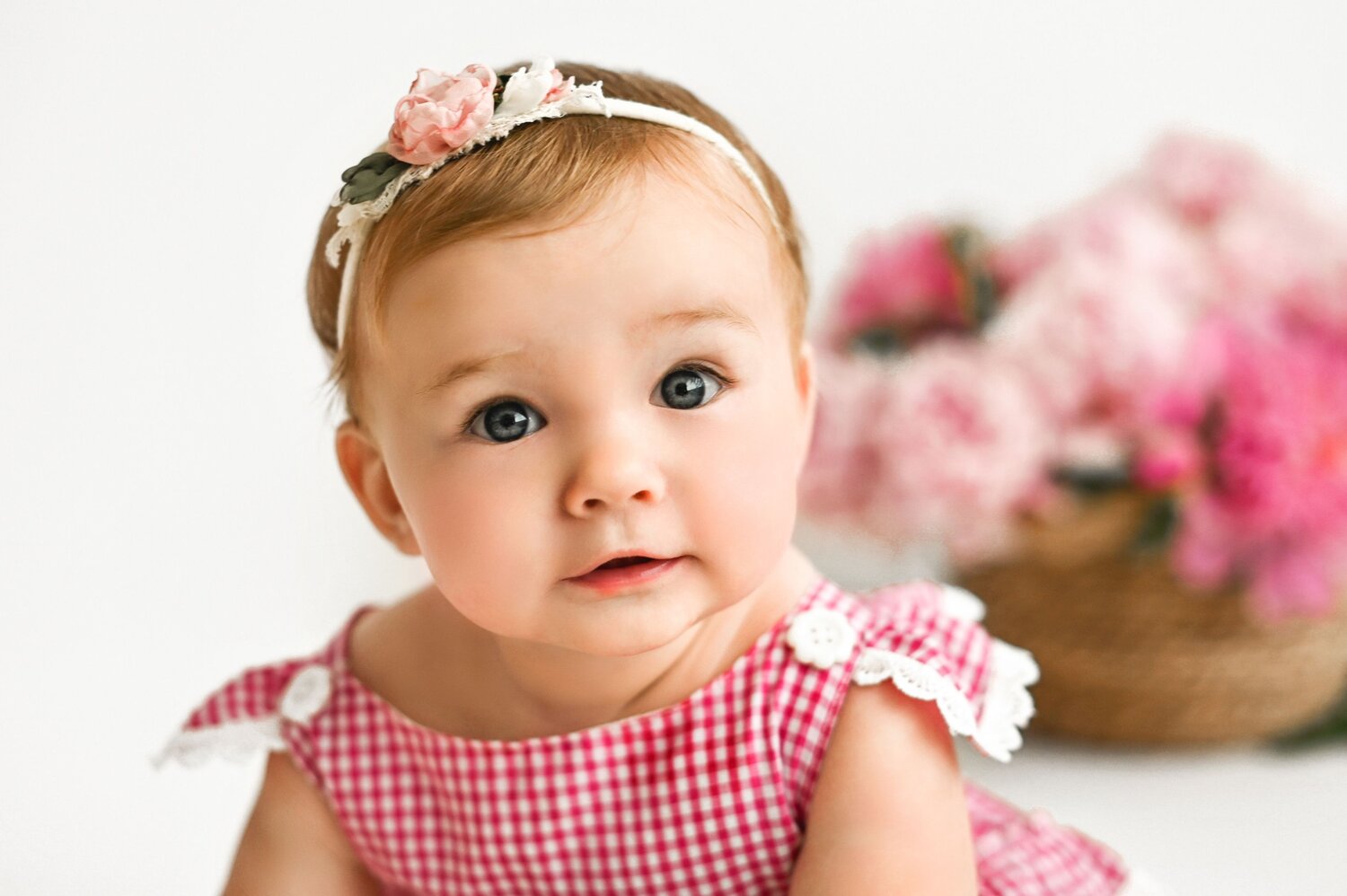 Photo #14033326