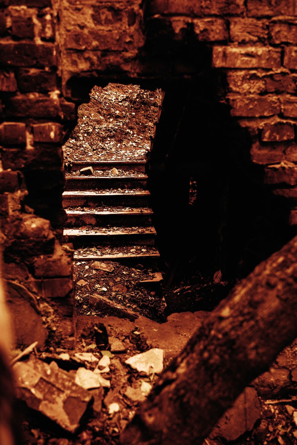 Photo #14033333