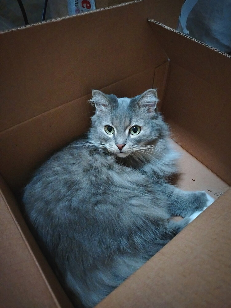 Photograph by Дмитрий Балабан