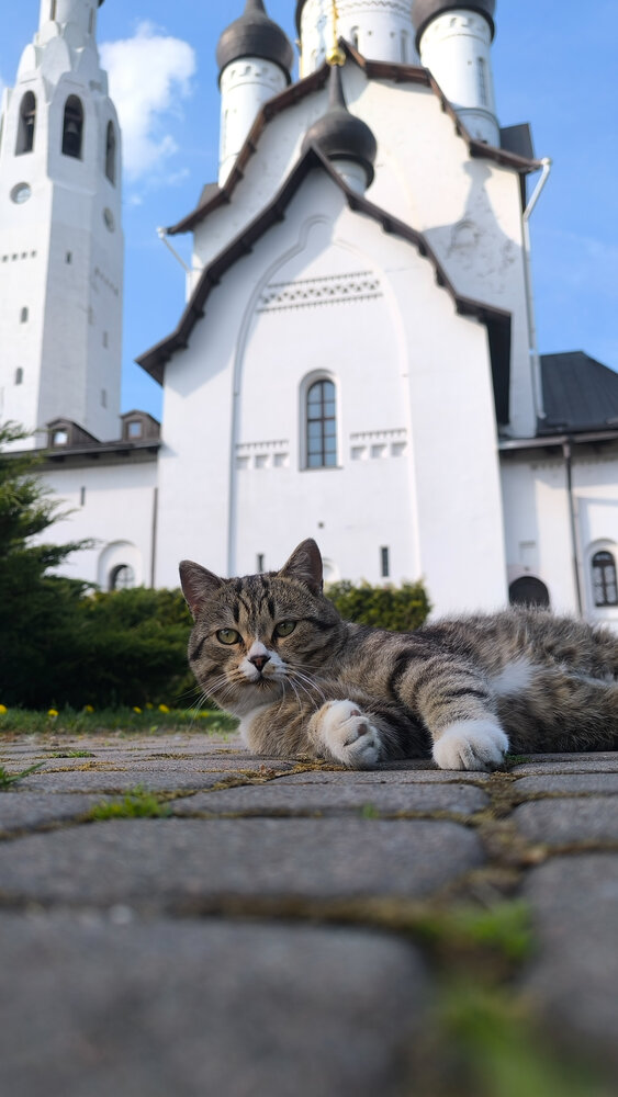 Photograph by Марина Колесник
