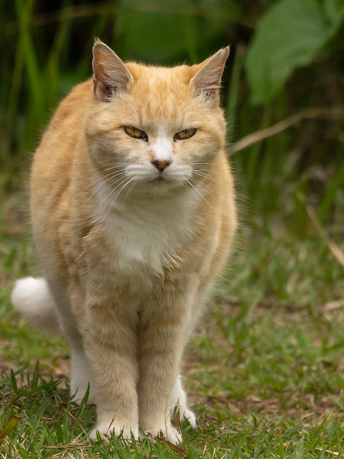 Photo #14033424