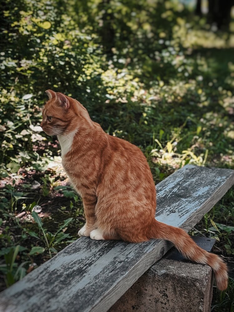Photograph by Юлия Куклина