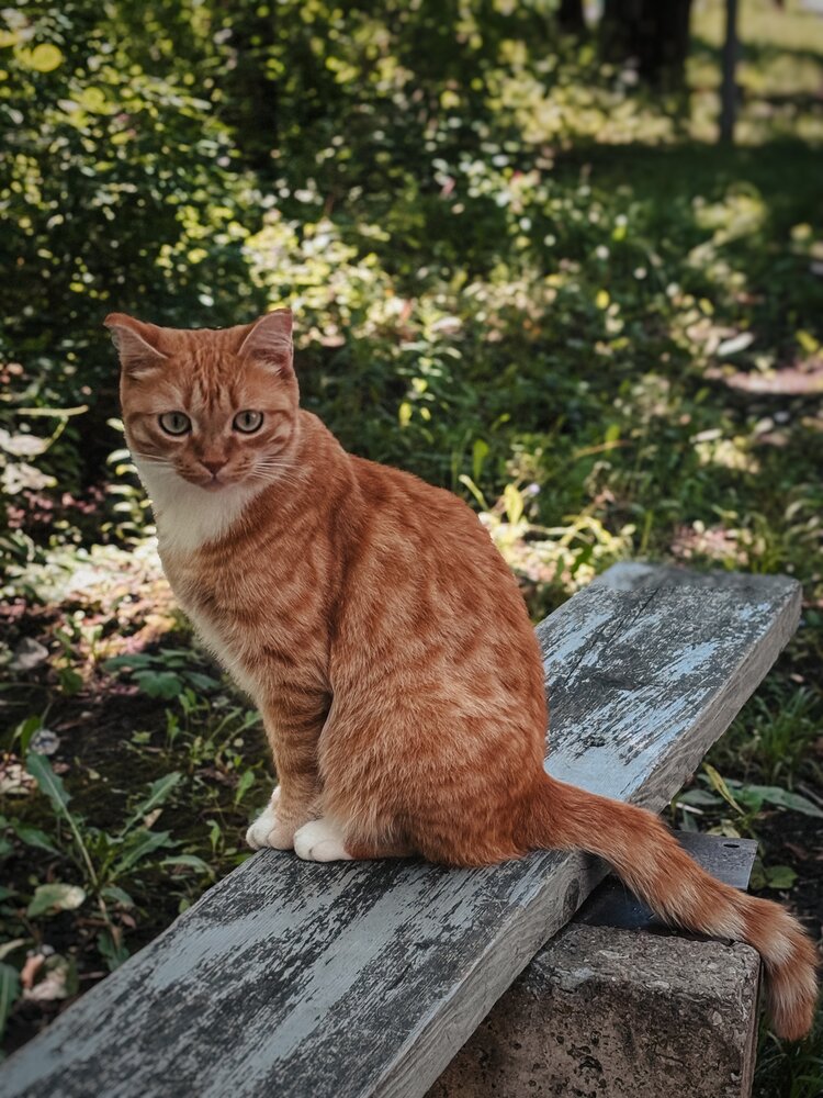 Photograph by Юлия Куклина
