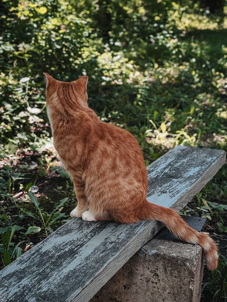 Photograph by Юлия Куклина