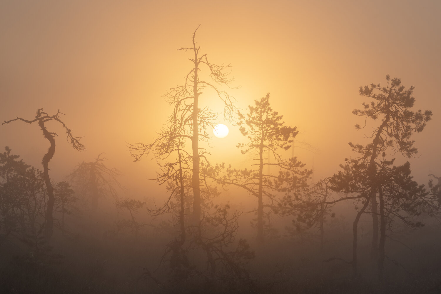 Photo #14033443