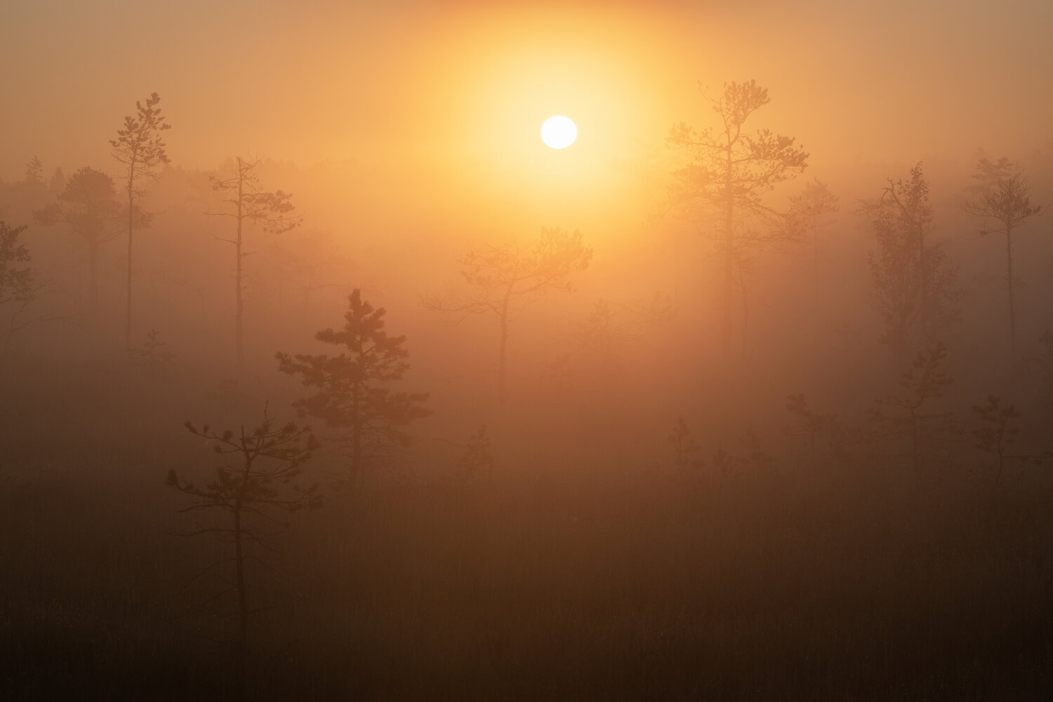 Photo #14033444