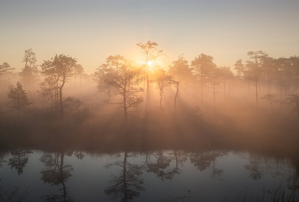 Photograph by Ivan Glinskiy