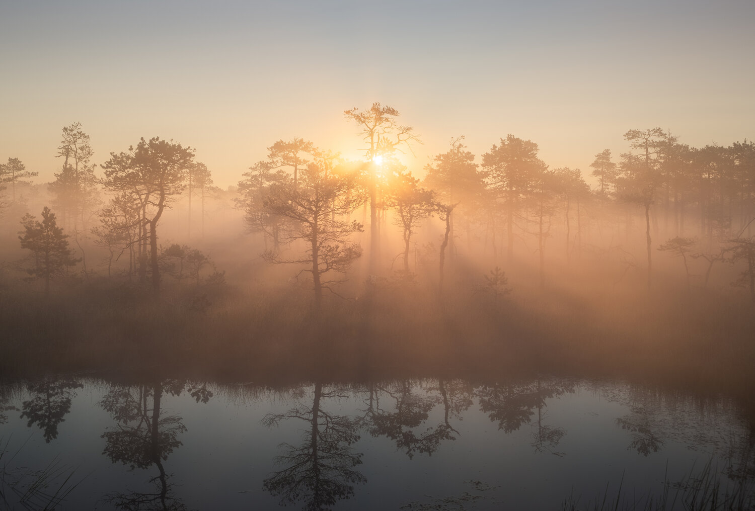 Photo #14033453