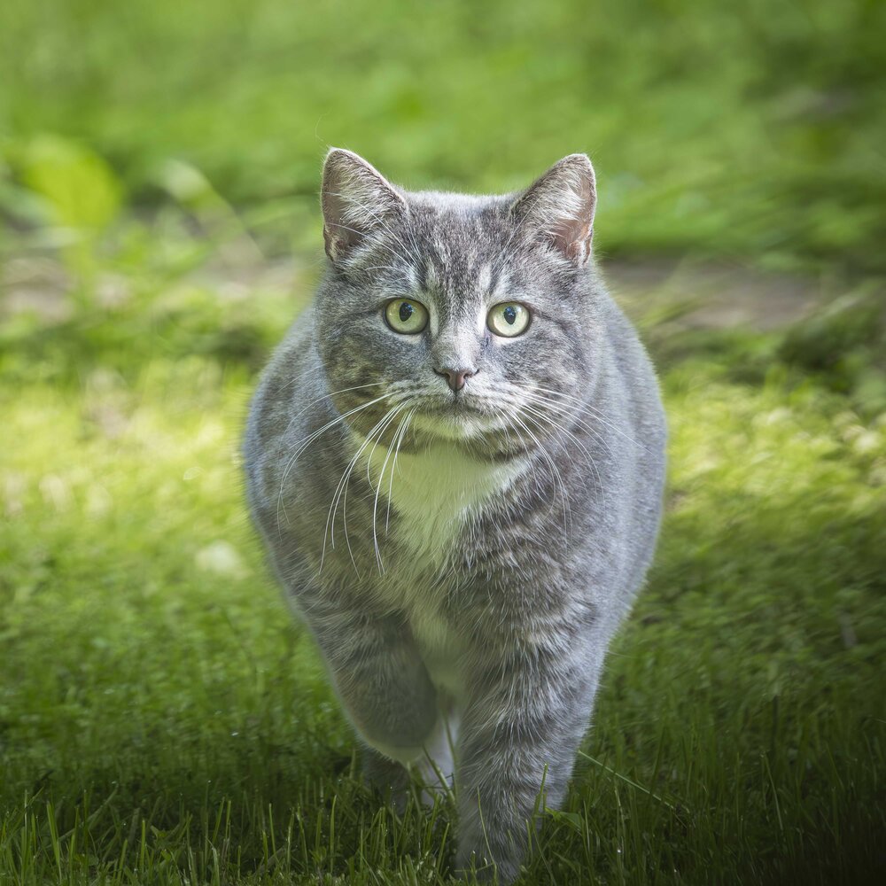 Photograph by Alexei Kriptozoy