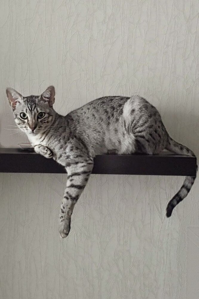 Photograph by Марина Колесник