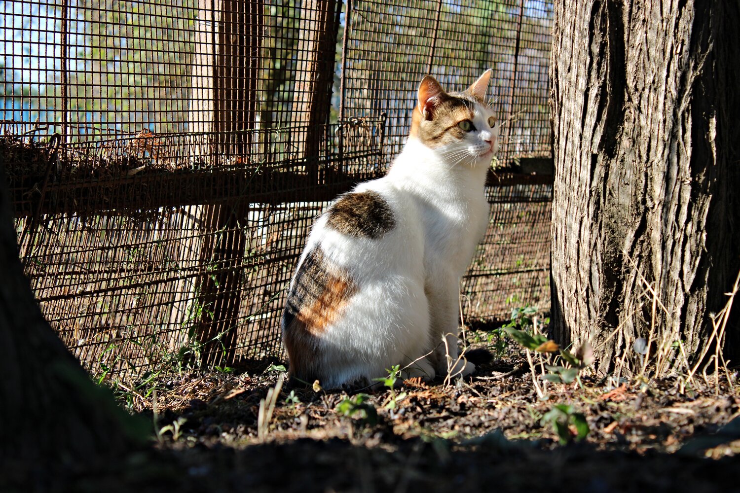 Photo #14033499
