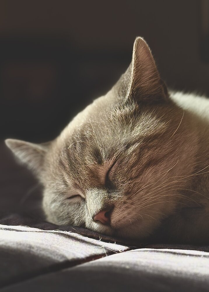Photograph by Бекежан Мухаметжанов
