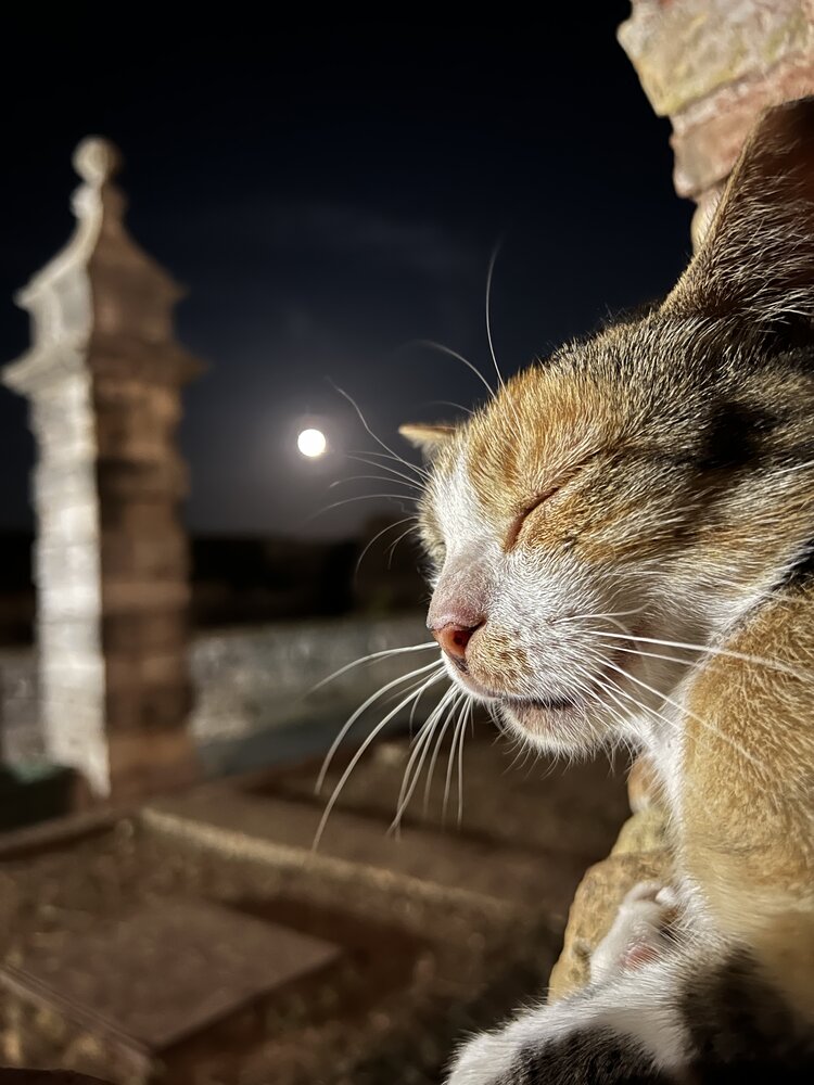 Photograph by Eleni Christogianni