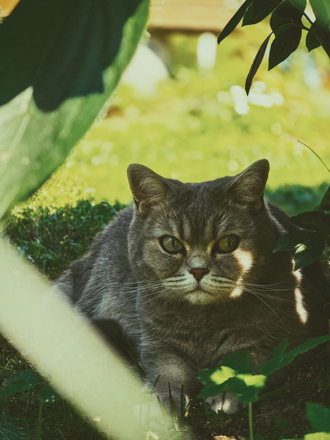 Photo #14033670