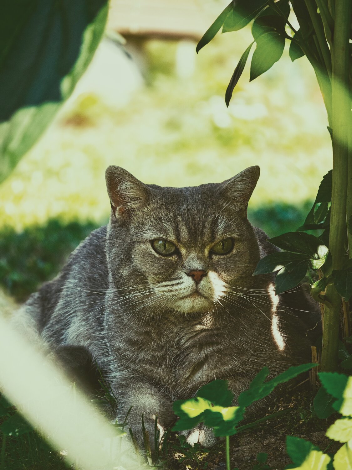 Photo #14033671