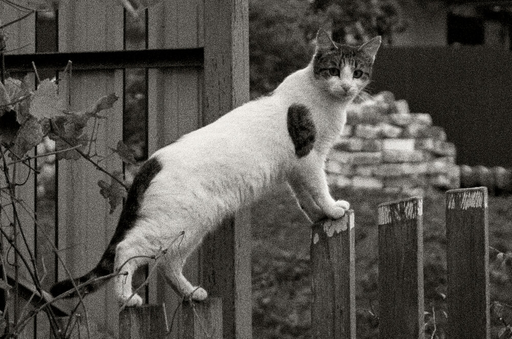 Photograph by Денис Колесников
